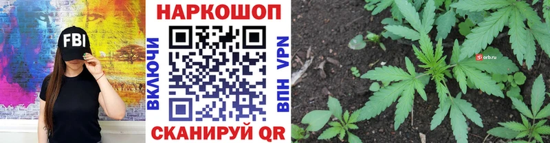 Как найти закладки Тимашёвск Конопля  Галлюциногенные грибы  A-PVP  Гашиш  Меф 