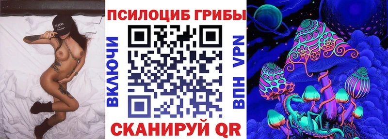 shop официальный сайт Тимашёвск Галлюциногенные грибы GOLDEN TEACHER